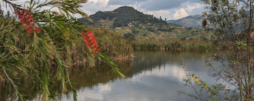Lake Bunyonyi Wetland