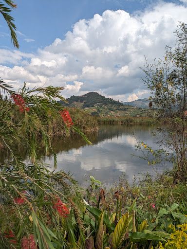 Lake Bunyonyi Wetland