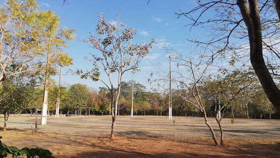 Zé Bolo Flô State Park