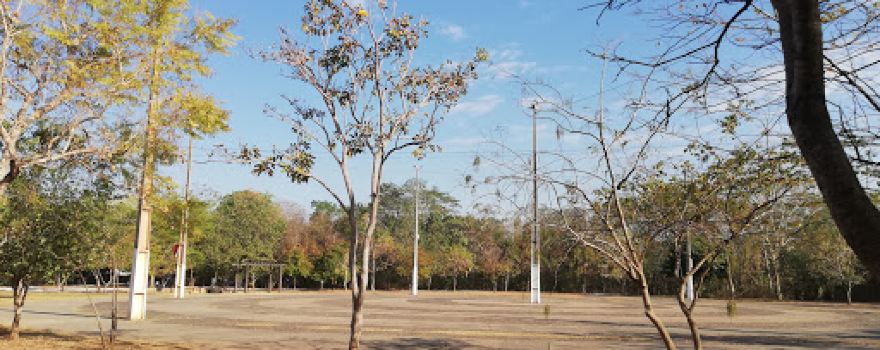 Zé Bolo Flô State Park