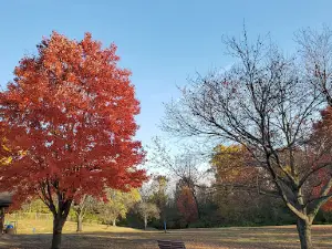 Edwardsville Township Community Park
