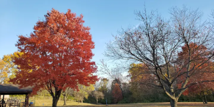 Edwardsville Township Community Park