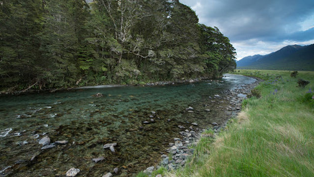 Fiordland Fishing Guide: Chris Reygaert