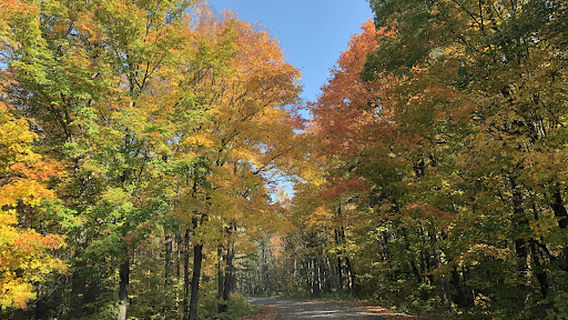 Algonquin Provincial Park - East Gate