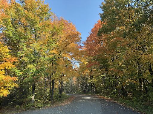 Algonquin Provincial Park - East Gate