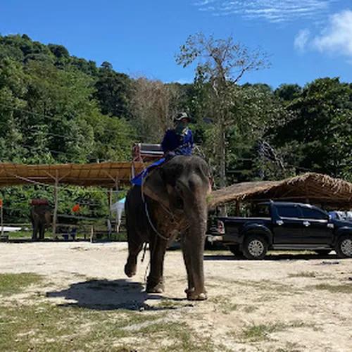 elephant camp Jetsada kachaphat Patong