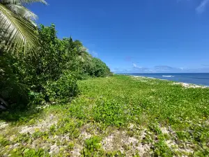 Uoleva
