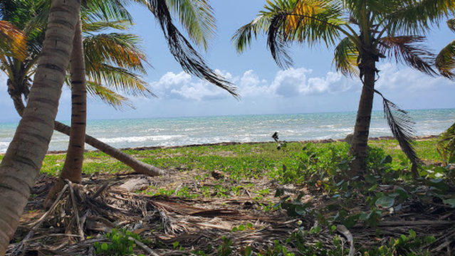 Tropical Beach Naguabo