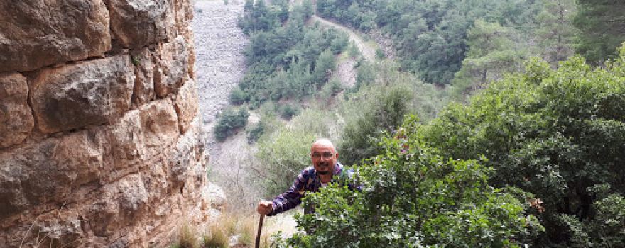 Hasan Aybaba Anadolu Öğretmen Lisesi Hatıra Ormanı
