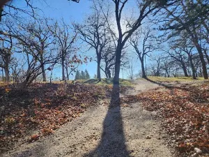 Kendall Young Park