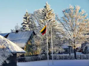S.Girėnas Birthplace