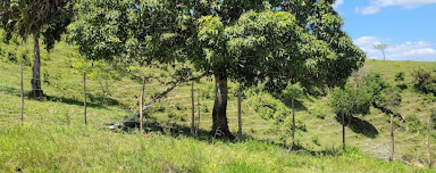 Fazenda Gitirana Sr Elói