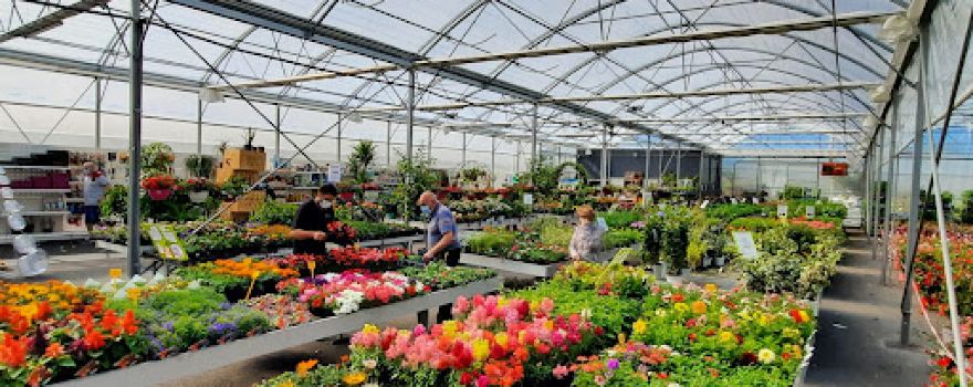 Les Serres de Parlanges Jardinerie