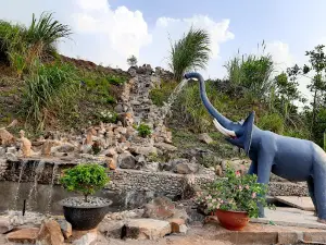 Rừng hoa Tà Cơn