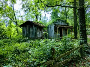 Cowboy Creek Lodge