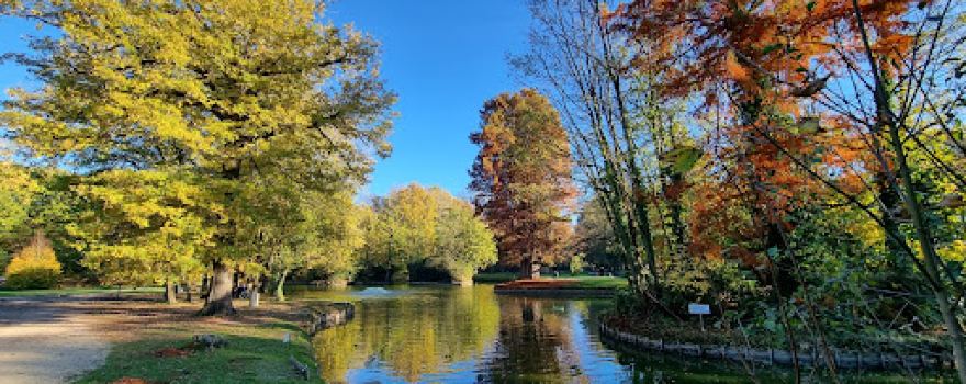 Park Olmenhof