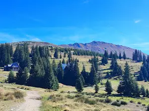 Vârful Țarcu