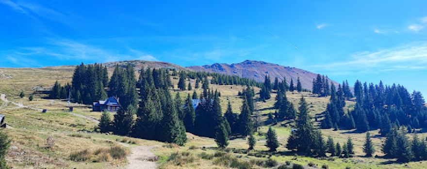 Vârful Țarcu