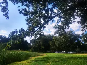 Klipfontein Dam Park and main feature