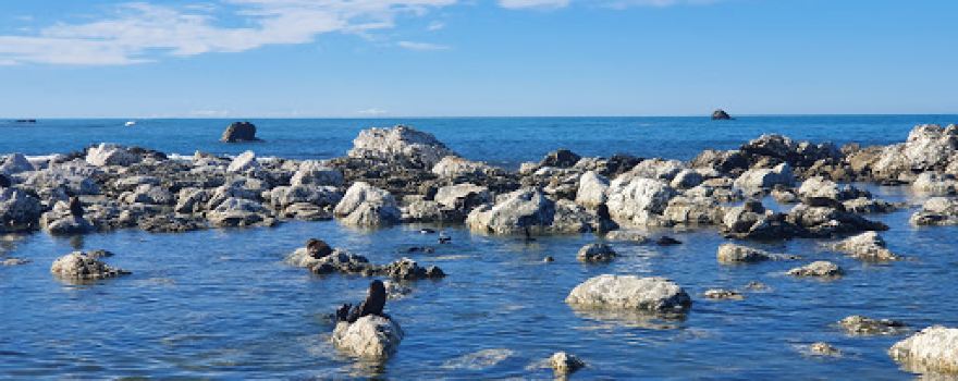 Paparoa Point Scenic Reserve