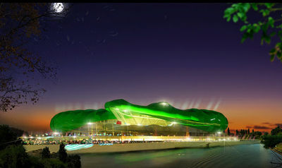Bursa Timsah Arena