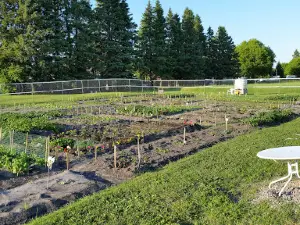 Fort Frances Community Garden