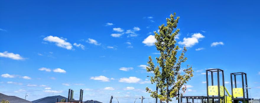 Bloomdale Avenue Playground