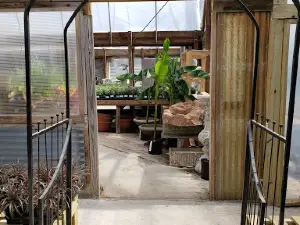 ペッパー・グリーンハウシズ