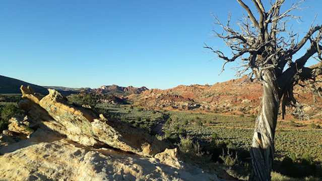 Stateline Campground