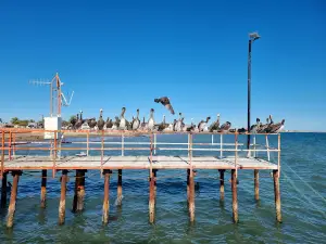 Kino Bay Pier