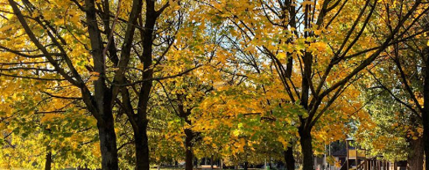 Parco Spina Azzurra