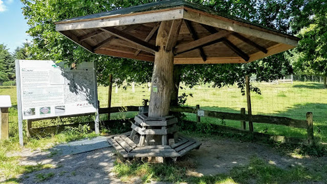 Entstehungspunkt Vechte