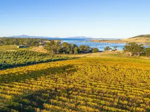 Boomer Creek Vineyard & Cellar Door
