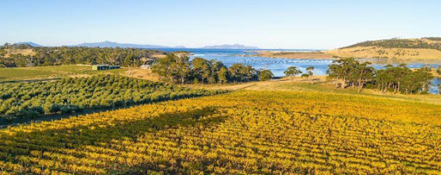 Boomer Creek Vineyard & Cellar Door