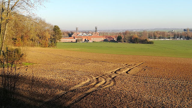 Tour du bois de Lewarde