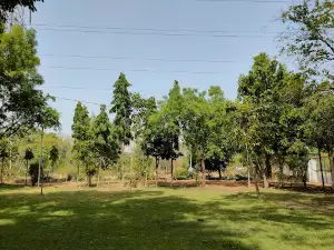 Anandwan Zoo