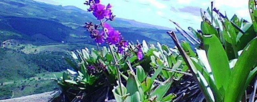 Mirante Santa Rosa