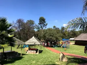 BouncyCroc Crocodile Farm