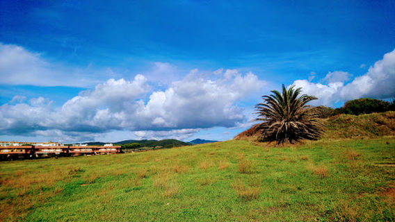 Villa Romana "I Grottini"