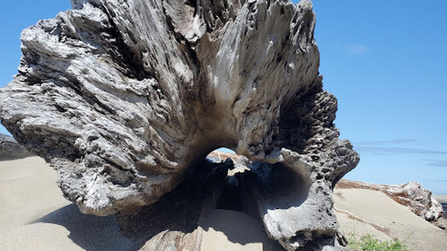 Bandon State Natural Area