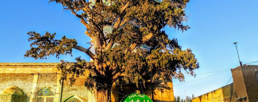 Emamzadeh Ahmad