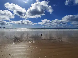 Tokerau beach freedom camp