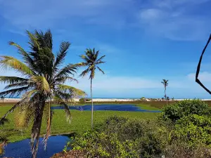 Batoque Extractive Reserve