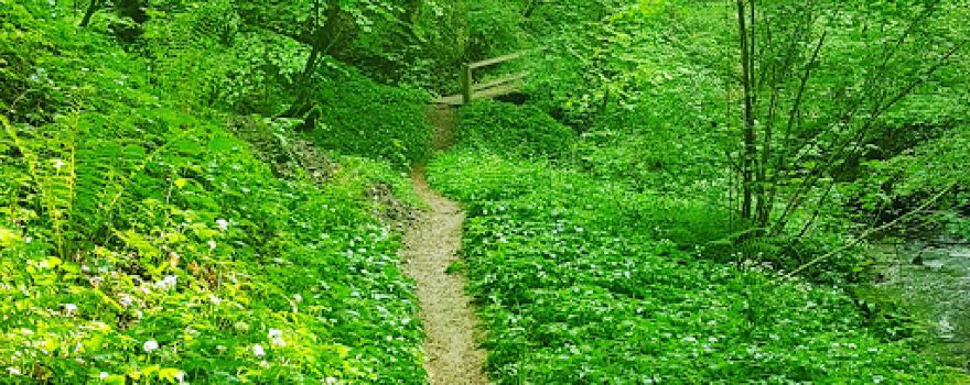 Réserve naturelle du Vallon des Vaux et du Flonzel