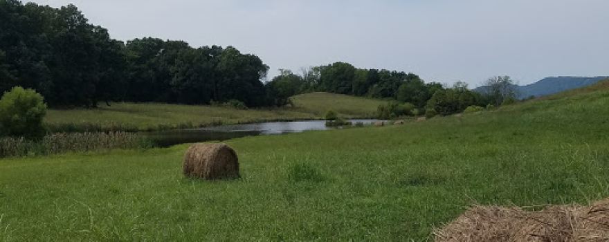 Baileyton Golf Club