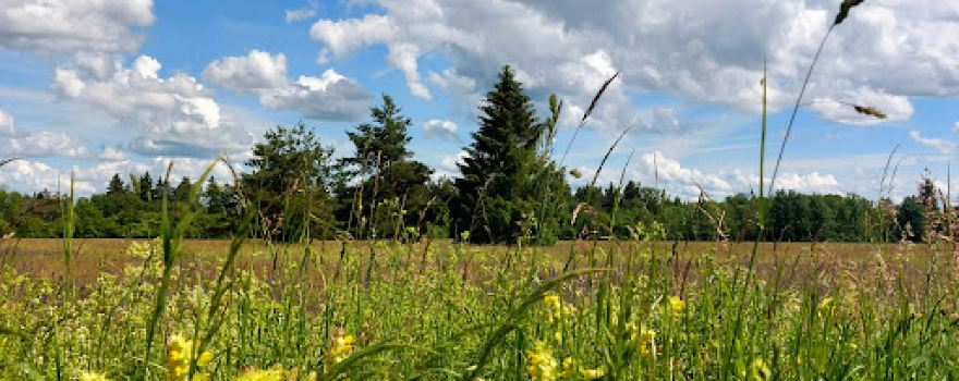 Lechtal Nord Landscape Protection Area