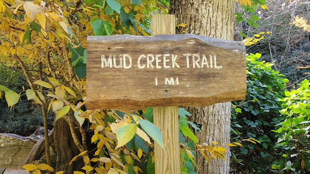 Mud Creek Falls