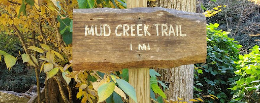 Mud Creek Falls