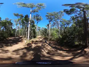 Canebrake Pool
