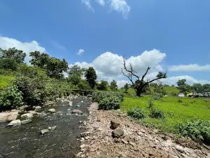 JatraDoh